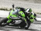 Kawasaki Ninja 300 300 Special Edition